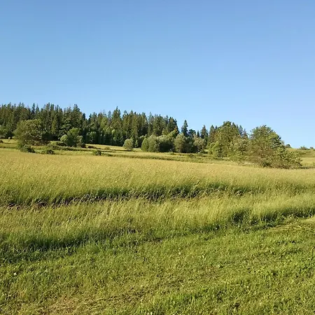 Quarto em Acomodações Particulares Cicho Sza *