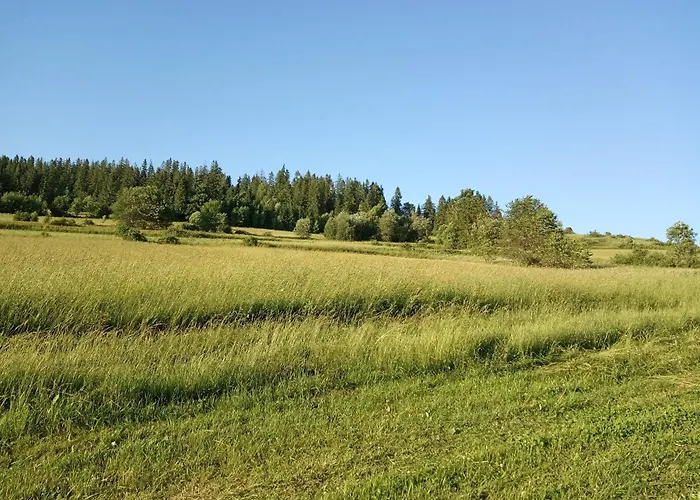 Quarto em Acomodações Particulares Cicho Sza *