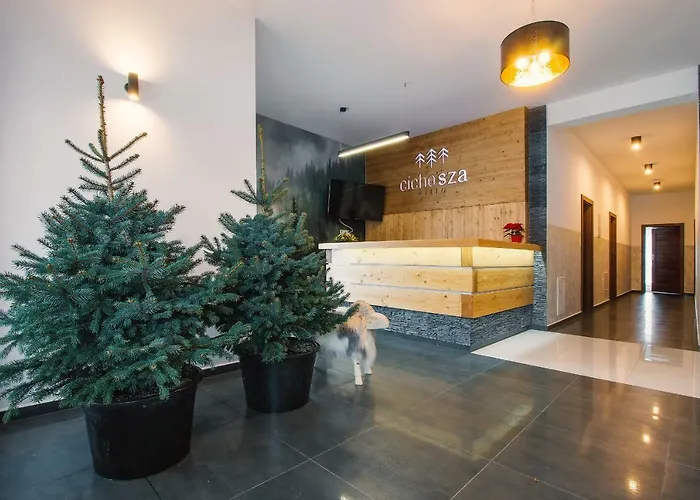 Cicho Sza ホームステイ